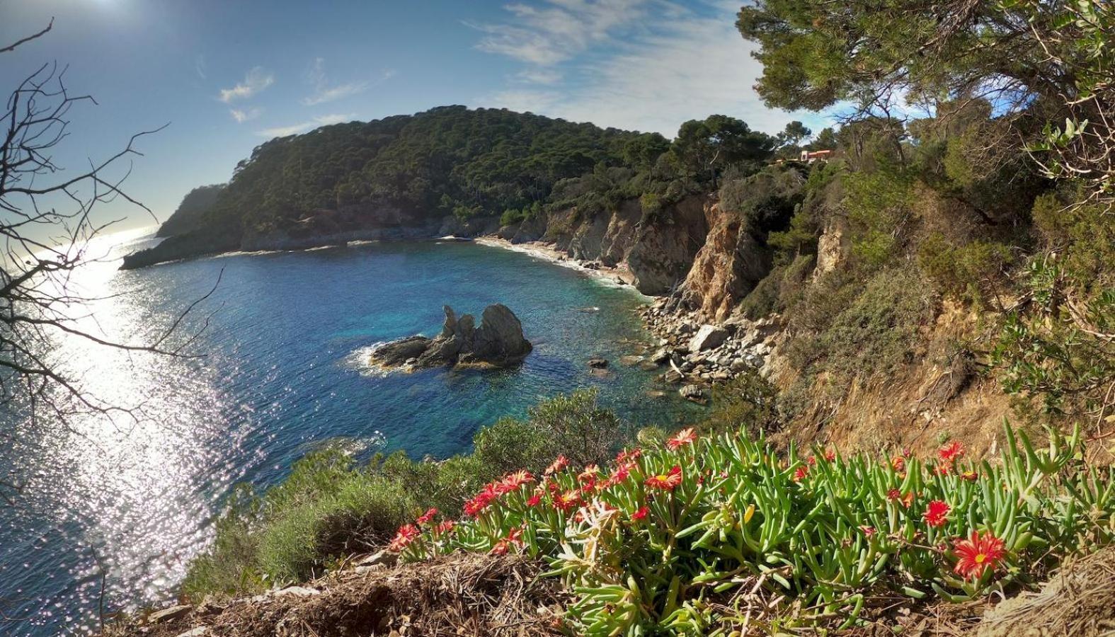 Studio A 100 M Du Port Et 500 M Des Plages Ιέρ Εξωτερικό φωτογραφία